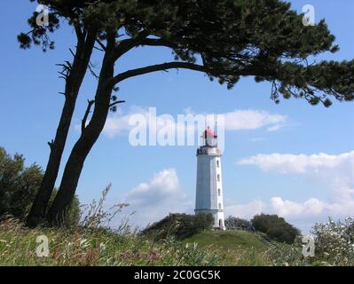 Dornbusch Leuchtturm auf der Insel Hiddensee Stockfoto