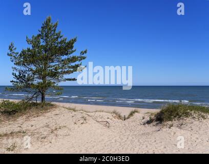 Strand an der ostsee in lettland Stockfoto