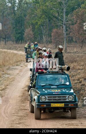 Ökotourismus in Indien bei Kanha Tiger Reserve Stockfoto