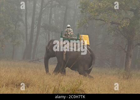 Waldranger patrouilliert auf Elefanten im Bandhavgarh National Park, Indien Stockfoto