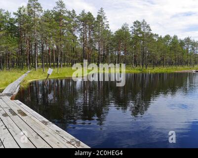 See in Viru Moor, Estland Stockfoto