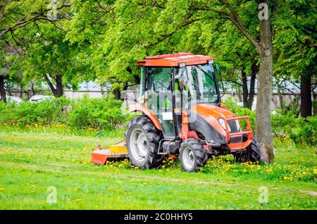 Roter Traktor und Rasenmäher, scheren Rasen in den Gassen im Park Stockfoto