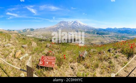 Washington State, USA - 24. Juni 2018: Ein atemberaubender Blick auf Mount St. Helens vom Trail mit Warnung, nicht auf Pflanzen zu treten. Bleiben Sie auf Wanderwegen und p Stockfoto