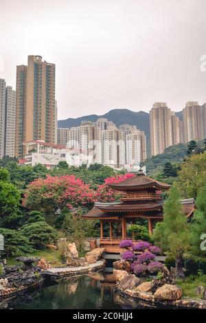 Holzpavillon im Nan Lian Garden in Hongkong Stockfoto