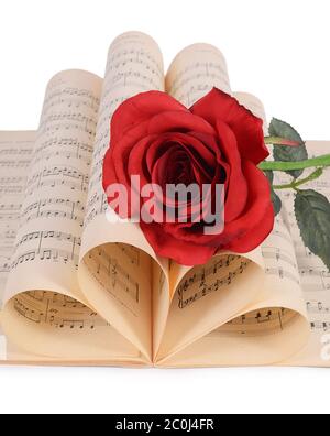 Die Rose auf Notebooks mit Noten Stockfoto