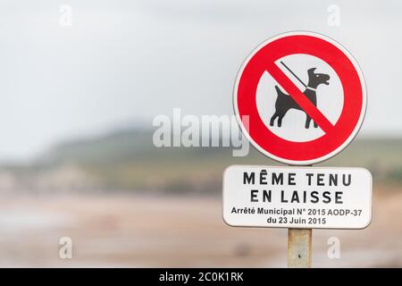 Hundeverbot Schild an einem Strand in Frankreich Stockfoto