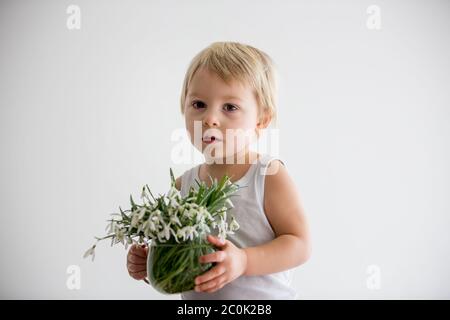 Schöner Junge, Kleinkind blonde Kind, hält Frühlingsblumen, schöne Schneeglöckchen in einer Vase Stockfoto