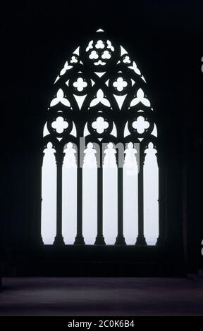 ALLE DE UN ARCO OJIVAL CON CRESTERIA DEL CLAUSTRO DE LA CATEDRAL VIEJA DE LERIDA - SIGLO XIV - GOTICO CATALAN - FOTO AÑOS 70. AUTOR: CASCALLS JAUME / SLIVELLA GUILLERMO. Lage: CATEDRAL VIEJA. Lerida. SPANIEN. Stockfoto