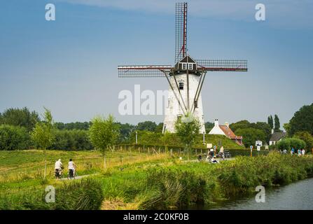 Landschaft in der Nähe der belgischen Stadt Damme mit einer typischen Windmühle in der Gegend. Stockfoto