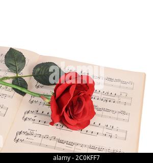 Die Rose auf Notebooks mit Noten Stockfoto