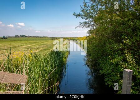 Die Niederlande ein feuchtes Land voller Gräben und Kanäle, Segelboote und weite Ebenen mit Grasland, Fotos in Friesland Gaasterland Region aufgenommen Stockfoto