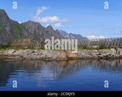 Trockengestelle für Stockfisch in Svolvær, Norwegen Stockfoto