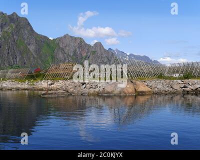 Trockengestelle für Stockfisch in Svolvær, Norwegen Stockfoto