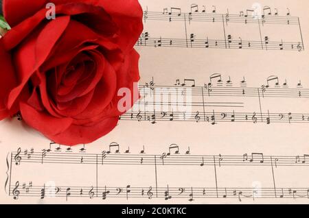 Die Rose auf Notebooks mit Noten Stockfoto