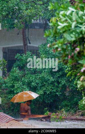 Orange Mönch mit Schirm im Regen Stockfoto