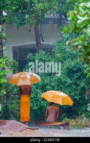 Zwei Orange Mönche mit Schirm im Regen Stockfoto