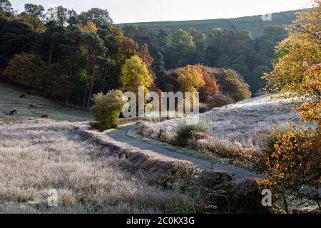 Ein frostiger Herbstmorgen in Beresford Dale, Dove Valley, Peak District National Park, Staffordshire, England Stockfoto