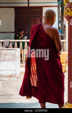 Roter Mönch stehend von hinten, in Burma Myanmar Stockfoto