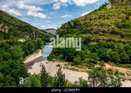 Gorges du Tarn. UNESCO-Weltkulturerbe. Grands Causses Regional Natural Park. Lozere. Okzitanien. Frankreich Stockfoto