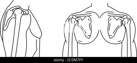 Schultergelenk und menschlichen Körper Vorder-und Seitenansicht skizzieren Symbole, Skelett Männer, menschliche Anatomie Vektor Illustration Stock Vektor