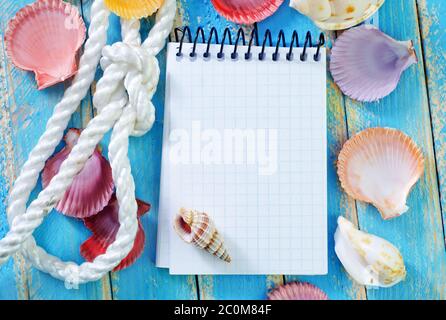 Hinweis und Meer shell Stockfoto