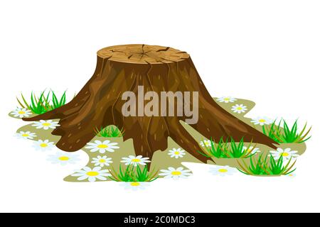 Baumstumpf isoliert auf weißem Hintergrund. Alter Baumstumpf mit Wurzeln, Gras und Blumen. Symbol für Amtsleitung. Sägeschnittbaum. Gefellte Baumstruktur.Vektordarstellung für Aktien Stock Vektor
