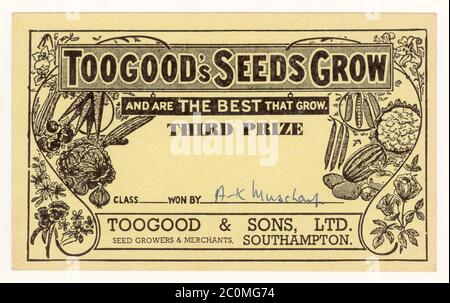 Toogogood's Seeds Promotion dritten Preis Zertifikat, wunderschön mit Bildern von Blumen und Gemüse illustriert, datiert auf Rückseite 1963, Großbritannien Stockfoto