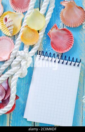 Hinweis und Meer shell Stockfoto