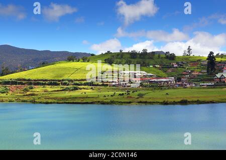 Gregory See in Nuwara Eliya - Sri Lanka Stockfoto