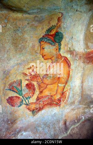 Sigiriya Maiden - Fresken an der Festung in Sri Lanka Stockfoto