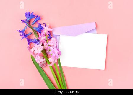 Blumenstrauß aus Hyazinthen, Fliederumschlag und weißem Notizpapier auf rosa Hintergrund Flat Lay Draufsicht copy space Mock up Sesonal, Erziehungskonzept Stockfoto