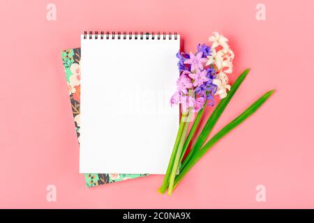 Arbeitsplatz mit Blumenstrauß Hyazinthen, weißer Notizblock auf rosa Hintergrund Flat Lay Draufsicht copy space Mock up Sesonal, Bildungskonzept Floral Stockfoto