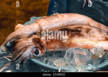 Frische Meeresfrüchte Tintenfisch auf Eis auf einem Straßenmarkt in Tokio Japan Asien verkauft Stockfoto