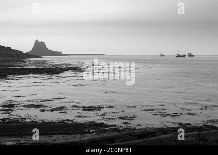 Das Schloss und der Hafen von The Common, Holy Island of Lindisfarne, Northumberland, England, UK. Schwarz-Weiß-Version. Stockfoto