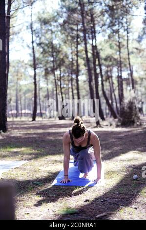 Eine Frau, die Yoga im Wald macht Stockfoto