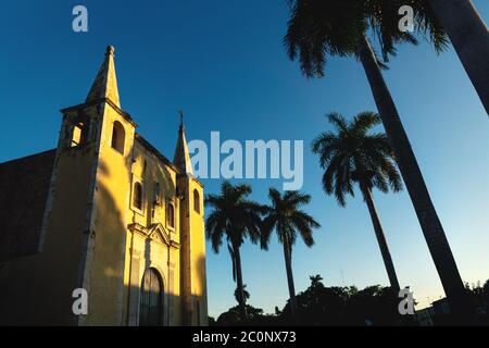 Santa Ana Kirche eingerahmt von Palmen bei Sonnenuntergang Licht, und wolkenlosen blauen Himmel Merida, Yucatan, Mexiko Stockfoto