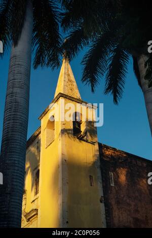 Turm der Santa Ana Kirche von Palmen bei Sonnenuntergang Licht eingerahmt, und wolkenlosen blauen Himmel Merida, Yucatan, Mexiko Stockfoto