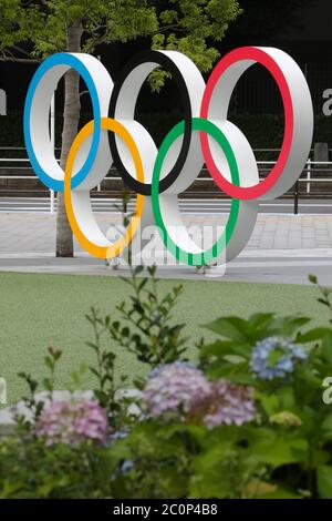 Tokio. Juni 2020. Das Foto vom 12. Juni 2020 zeigt die Olympischen Ringe in Tokio, Japan. Tokyo 2020 CEO Muto Toshiro sagte am Freitag, dass 80 Prozent der Wettkampfstätten für die neu terminierte Olympischen Spiele im Jahr 2021 gesichert wurden. Quelle: Du Xiaoyi/Xinhua/Alamy Live News Stockfoto