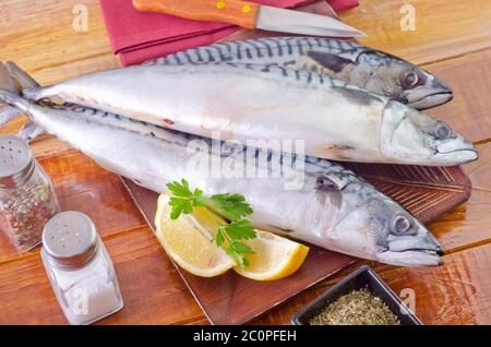 roher Fisch Stockfoto