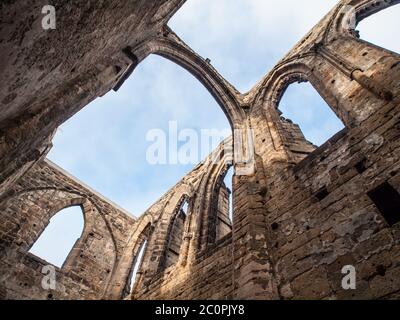 Klosterruine in Oybin, Deutschland. Ansicht von unten aus der Mitte der Kapelle, wo der Himmel sichtbar ist, anstatt der Decke. Stockfoto