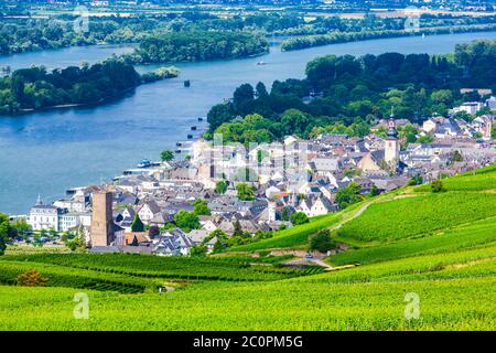 Weinberge, Rüdesheim und Bingen am Rhein Stadt Antenne Panoramablick in die Rheinebene, Deutschland Stockfoto