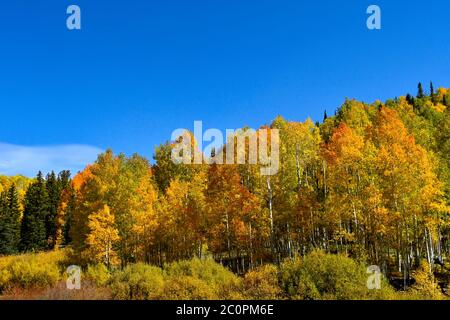 Herbstfarben auf dem San Juan Skyway, Colorado. Stockfoto