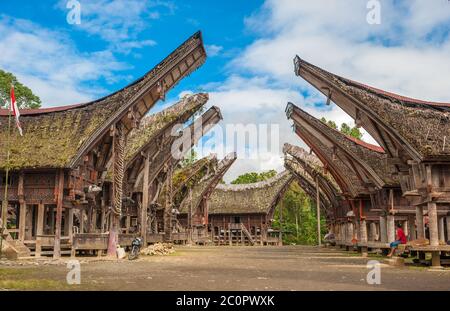 Tongkonan Häuser, traditionelle Toraja Gebäude, Tana Toraja, Sulawesi, Indonesien Stockfoto