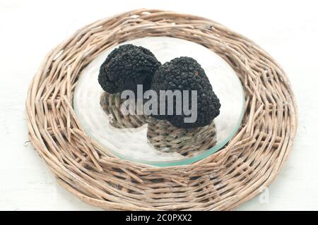 Schwarze Wintertrüffel aus Umbrien genannt Scorzoni Stockfoto