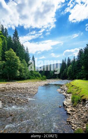 Fluss in der Berglandschaft. Schöne Naturlandschaft mit Wasserfluss im Wald. Sonniger Tag mit flauschigen Wolken am Himmel Stockfoto