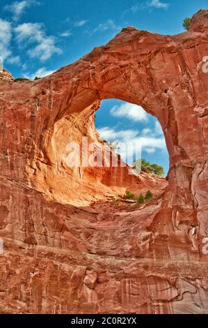 Window Rock Bogen in der Stadt Window Rock, Navajo Indianerreservat, Arizona, USA Stockfoto
