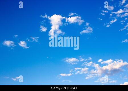 Helle geschwollene Wolken am azurblauen Himmel. Wunderbarer Naturhintergrund im Sommer Stockfoto