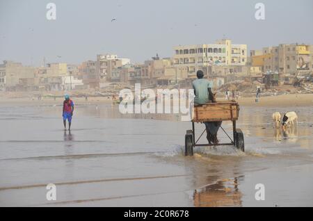 Ein Pferdewagen in Yoff Beach, einem bevölkerungsreichen Küstenviertel in Dakar, Senegal Stockfoto