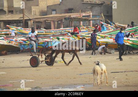 Ein Pferdewagen in Yoff Beach, einem bevölkerungsreichen Küstenviertel in Dakar, Senegal Stockfoto