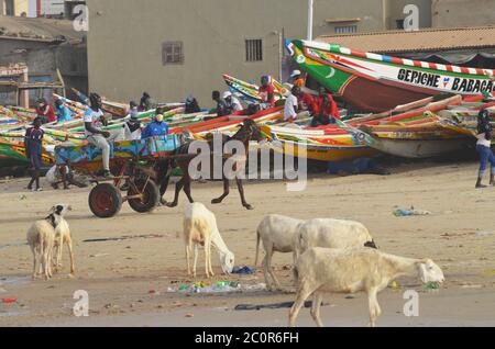 Ein Pferdewagen in Yoff Beach, einem bevölkerungsreichen Küstenviertel in Dakar, Senegal Stockfoto